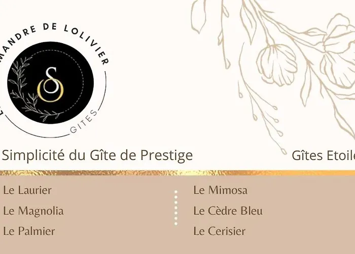 la Salamandre du cerisier