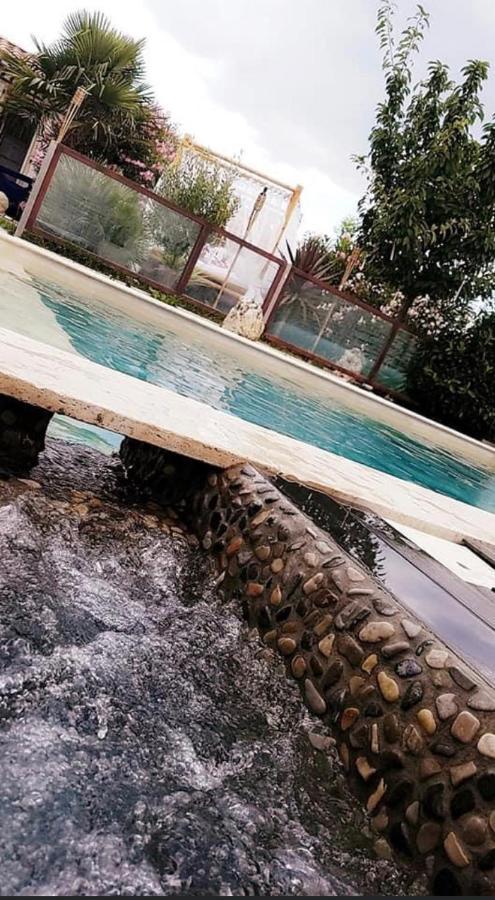 Villa La Salamandre De L Olivier - Le Mimosa