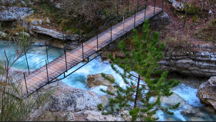 La Salamandre De L Olivier - Le Mimosa Villa